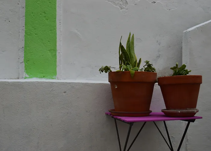 Terrace LisbonHostel